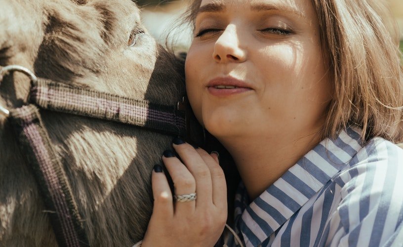 Finding Discount Pet Supplies