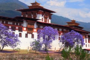 Bhutan Tour Packages – Explore the Himalayan Kingdom | Denzong Leisure