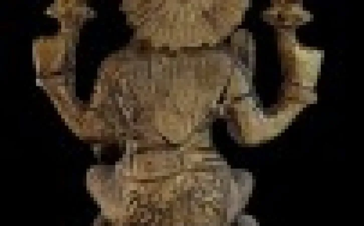 eventsimg